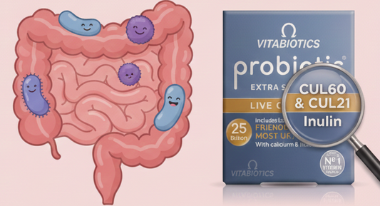 【2026 營養專欄】益生菌是什麼？認識益生菌的好處與挑選 3 大關鍵｜Vitabiotics 品牌專家解析