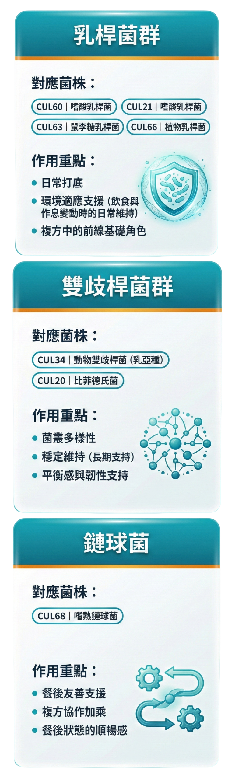 三大菌群X菌株分工與作用