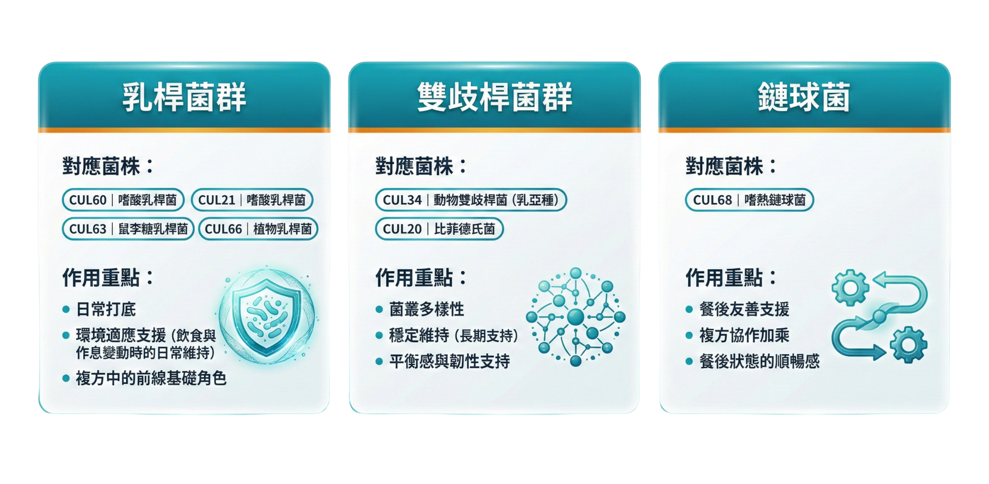 三大菌群X菌株分工與作用